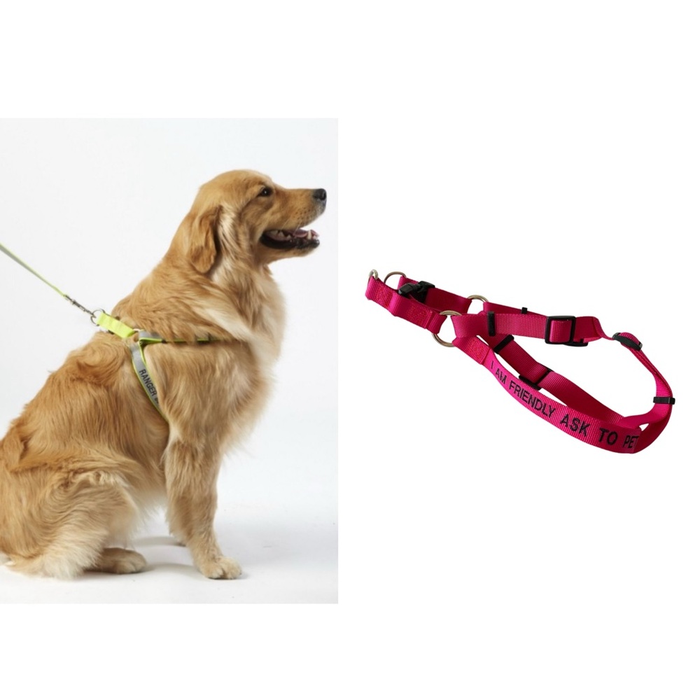 L.L.Bean Fuchsia Pink Adjustable Dog Harness I Am Friendly Ask to Pet Me